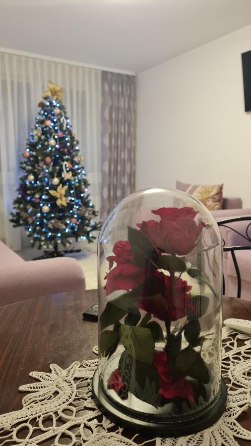 Apartament Violeta Gura Humorului Exteriör bild